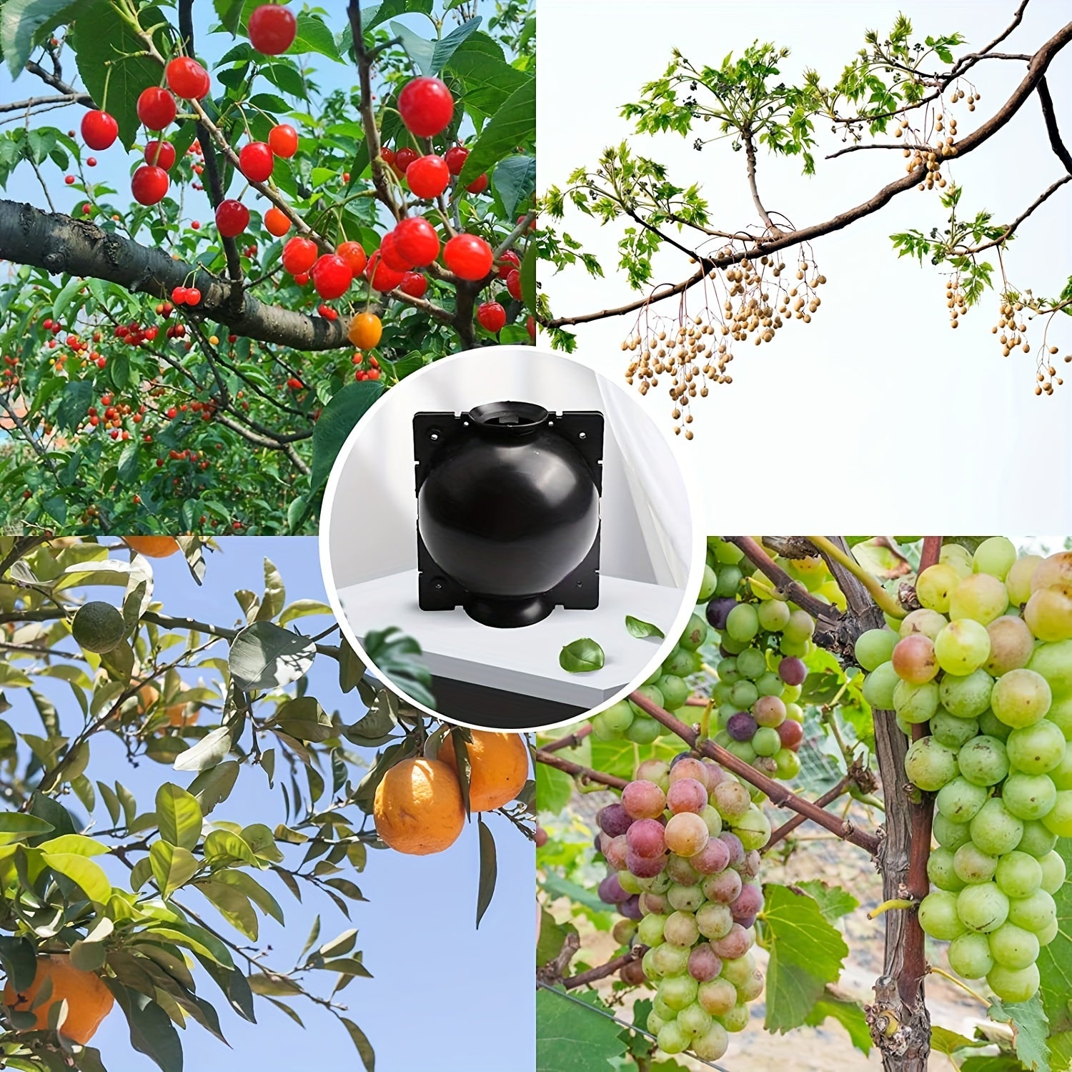 10pcs Tree Root Growing Box High Pressure Grafting Kit