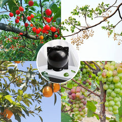 10pcs Tree Root Growing Box High Pressure Grafting Kit