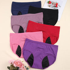 6 Pack Plus Size Leakproof Period Underwear High Waisted Panties Set