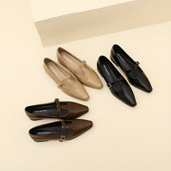 Chunky Low Heel Mary Shoes Buckle Strap Comfortable Walking Shoes