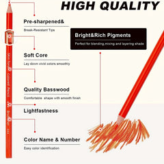 Professional Charcoal Pencils Set for Skin Tone Colored Sketching