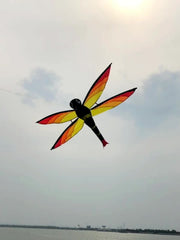 3D Dragonfly Kite D handle Flying Line Ripstop Polyester Strong Fiberglass