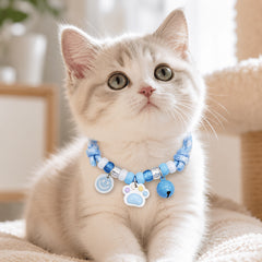 img_5502562
