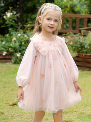 Blossoms Embroidery Mesh Collared Princess Dress For Girls
