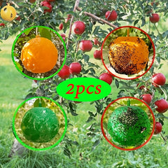 2pcs Sticky Bug Traps for Fruit Flies Mosquitoes