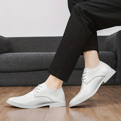 Men's Pointed Toe Lace Up Derby Shoes Business Formal Wear