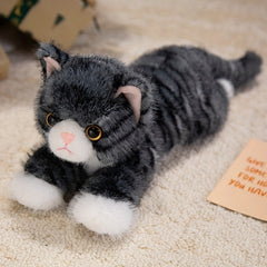 Realistic Cat Plush Toy for Kids, Boys & Girls