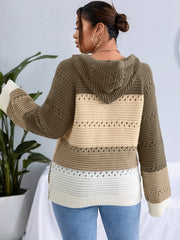 Colorblock Eyelet Embroidered Hooded Sweater