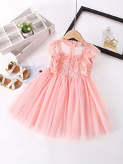 Girls Lace Mesh Princess Dress Sleeveless Tutu Dress
