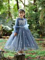 Toddler Girls Long Sleeve Sequins Dress Pageant Gown