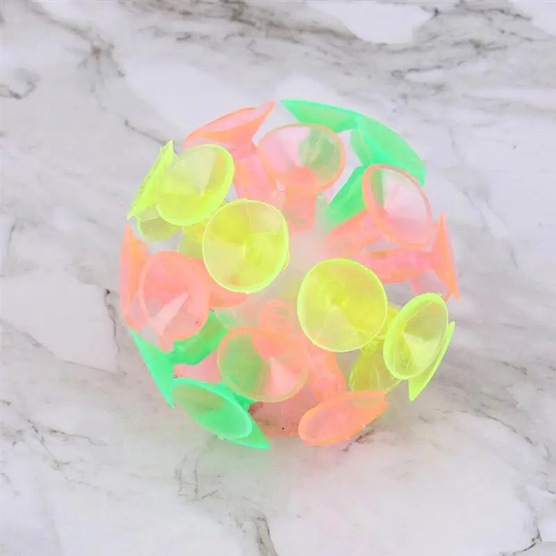 img_2889037