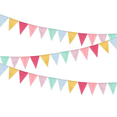 12 Multicolor Pennant Banner Linen Birthday Party Grand