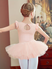 Floral Embroidery Tutu Dress for Girls - Ballet Dance Practice Costume