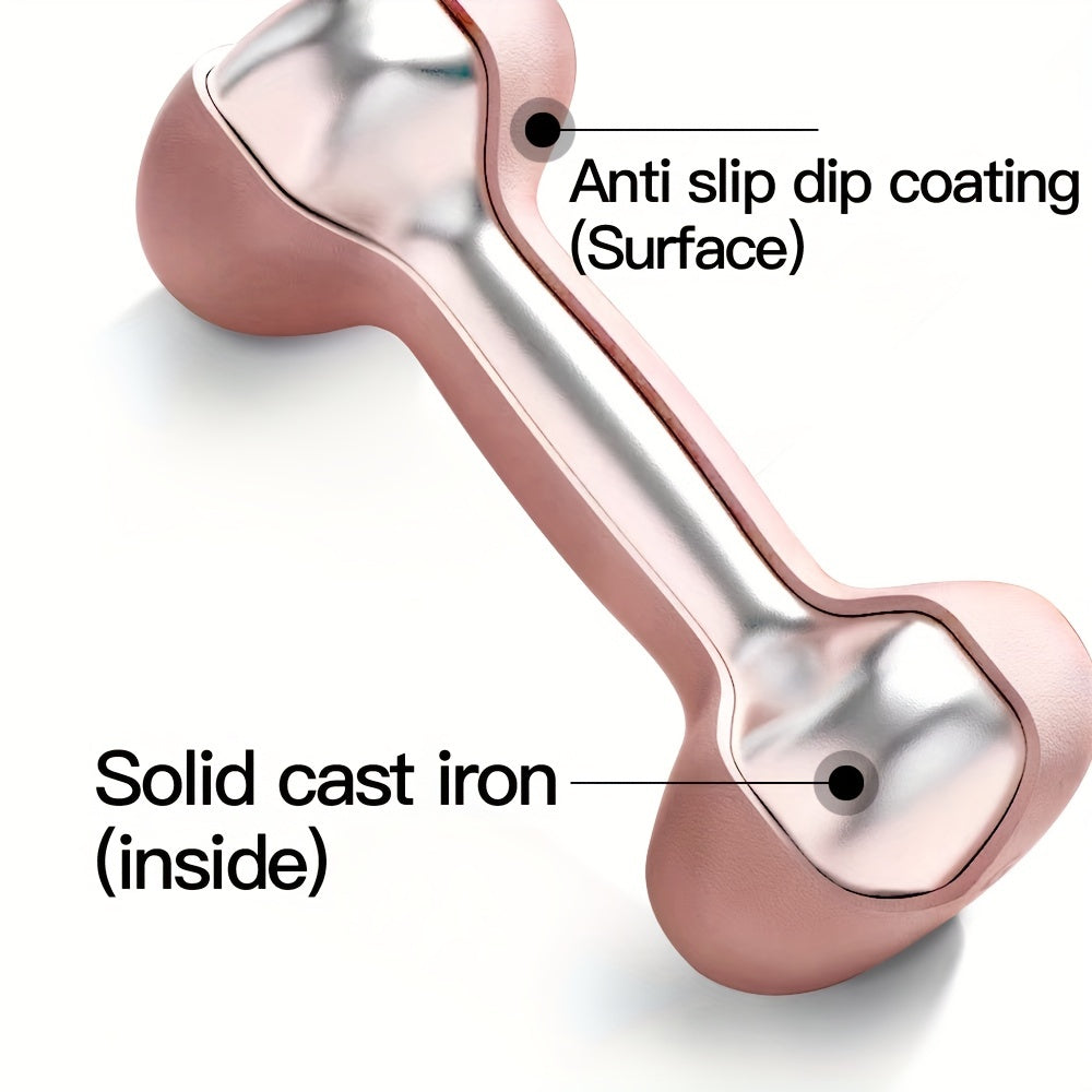 Solid Iron Dumbbell Pair for Home & Outdoor Training