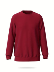 Men's Casual Stretch Pullover Sweatshirt Long Sleeve Crew Neck Tops