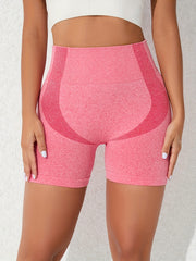 High Waist Multicolor Yoga Shorts 3 Piece Set