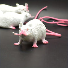 Halloween Plastic Mice Prank Props for Simulated Rodent Scare