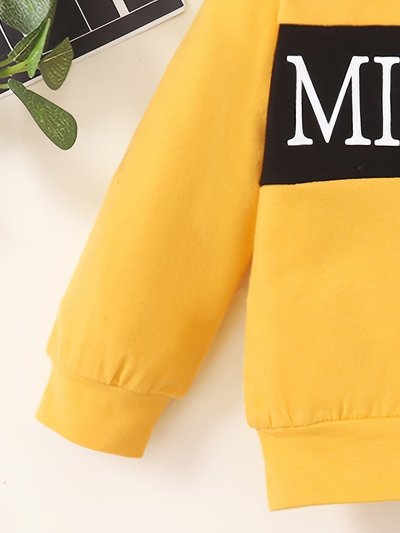 Boys Block Letter Print Pullover Top Pants Set