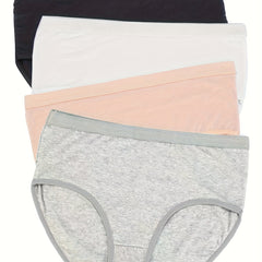 4 Pack Plus Size High Rise Panties Set