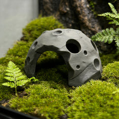img_6358503