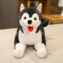Giant 70cm Husky Plush Toy Soft Cuddly Stuffed Animal Dog Pillow