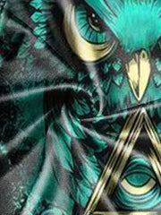 Men's Mythical Owl Graphic T shirt & Shorts For Halloween