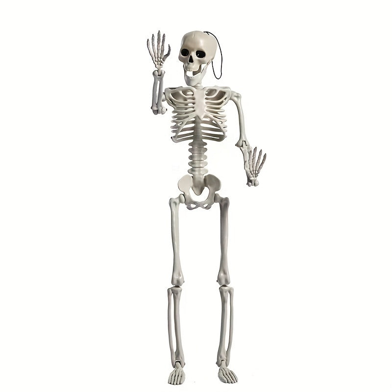 2pcs Halloween Skull Skeleton with Movable Joints - Halloween Gift