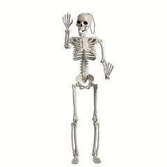 2pcs Halloween Skull Skeleton with Movable Joints - Halloween Gift