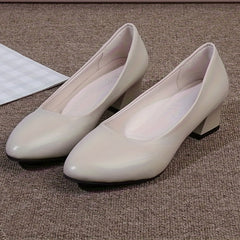 Chunky Heel Court Shoes Pointed Toe Low Heels Women's Footwear