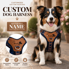 img_5203534