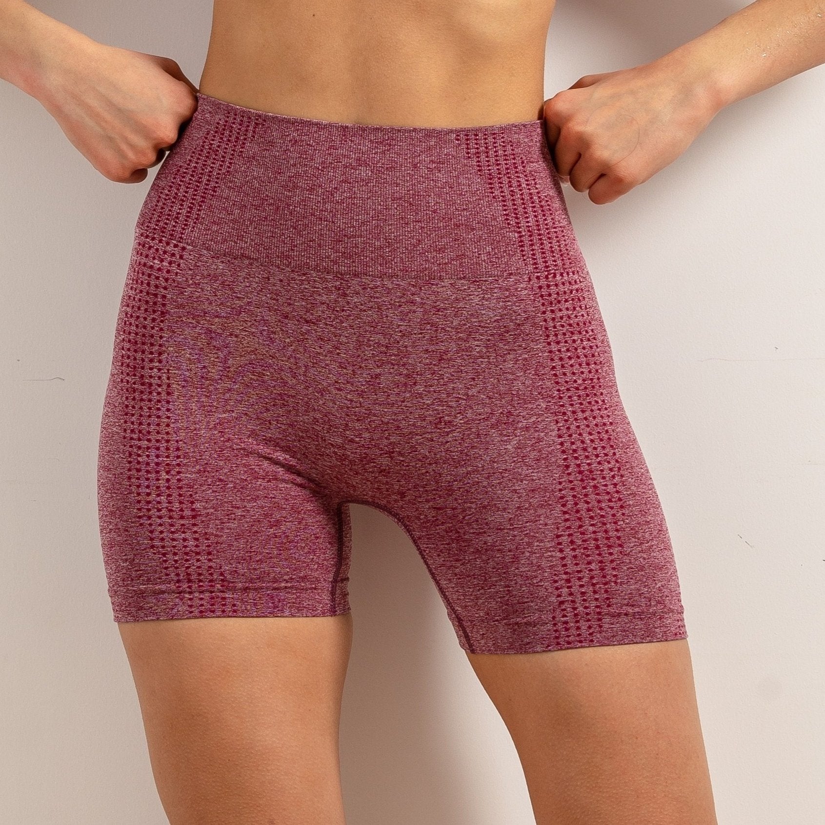 Quick Dry Yoga Shorts High Waist Tummy Control Women's Activewear