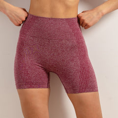 Quick Dry Yoga Shorts High Waist Tummy Control Women's Activewear