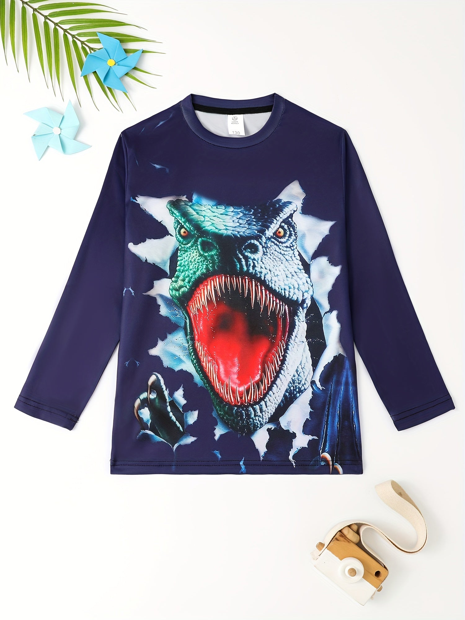 3D Dinosaur Print Kid's Pullover Long Sleeve Top for Boys