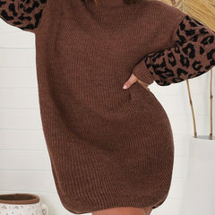 Colorblock Leopard Print Long Sleeve Sweater Dress