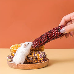 Hamster Teeth Grinding Corn Stick Small Pet Chewing Snack