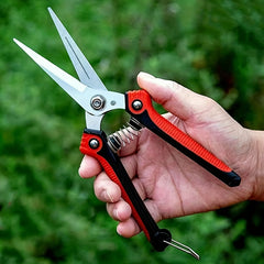 Stainless Steel Fruit Scissors w/ Comfortable Grip Handle