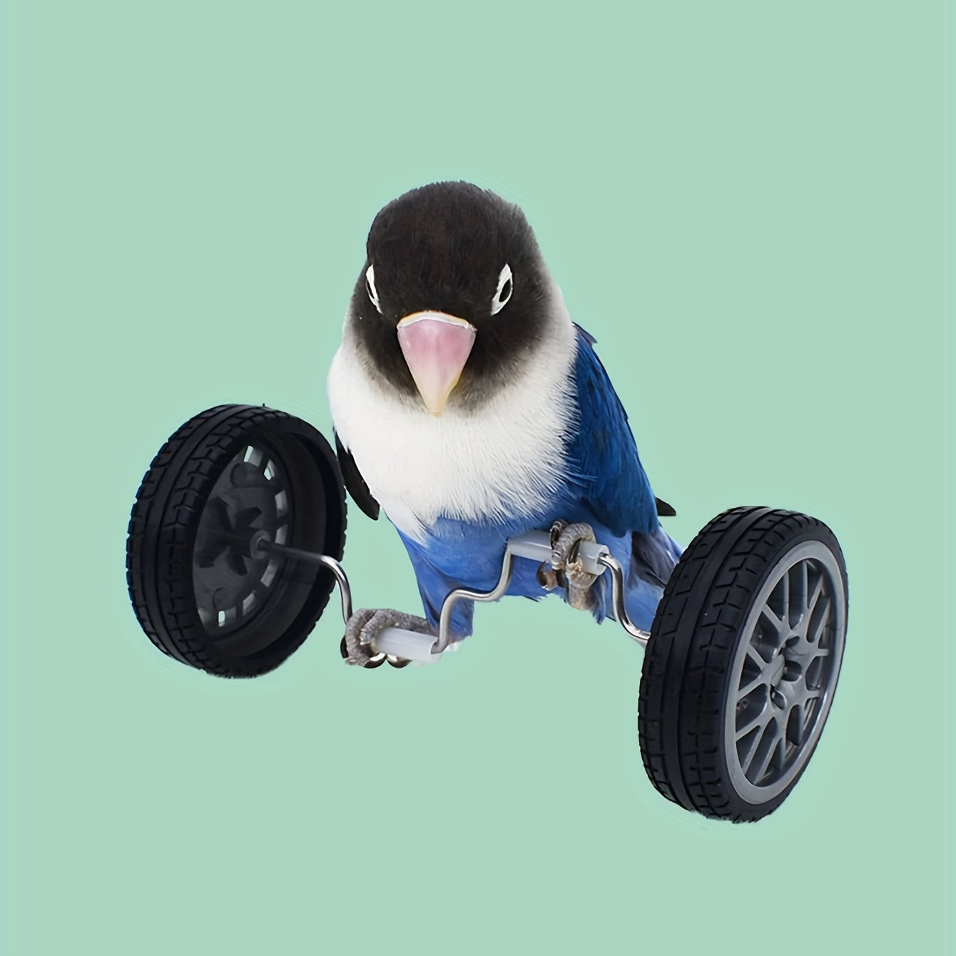 Balance Car Parrot Training Toy Funny Bird Toy for Playing