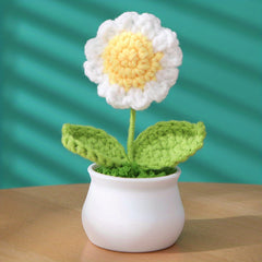 Handmade Crochet Wool Eternal Flower Daisy Tulip Gift