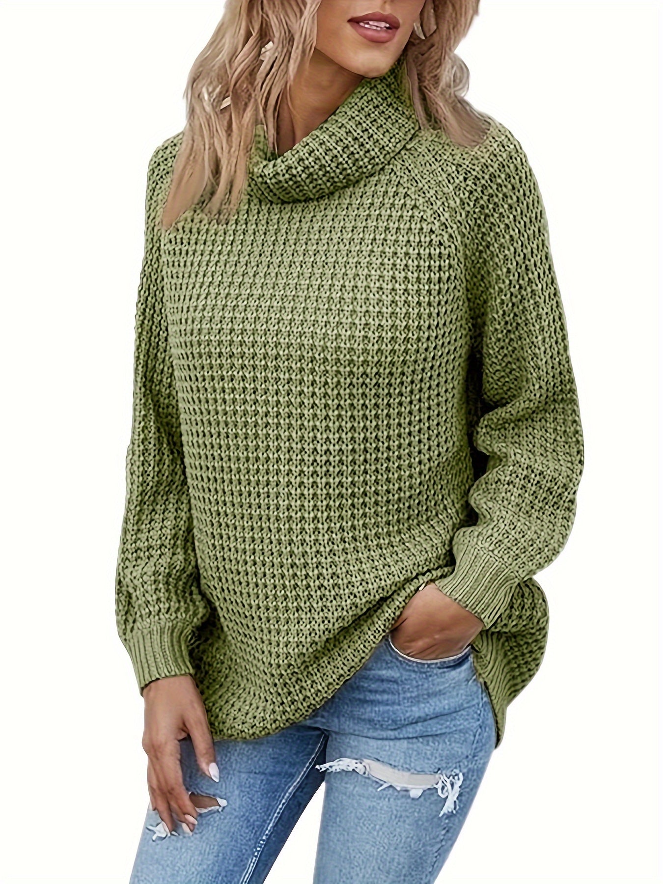 Women's Plus Casual Sweater Solid Long Sleeve Turtle Neck Jumper