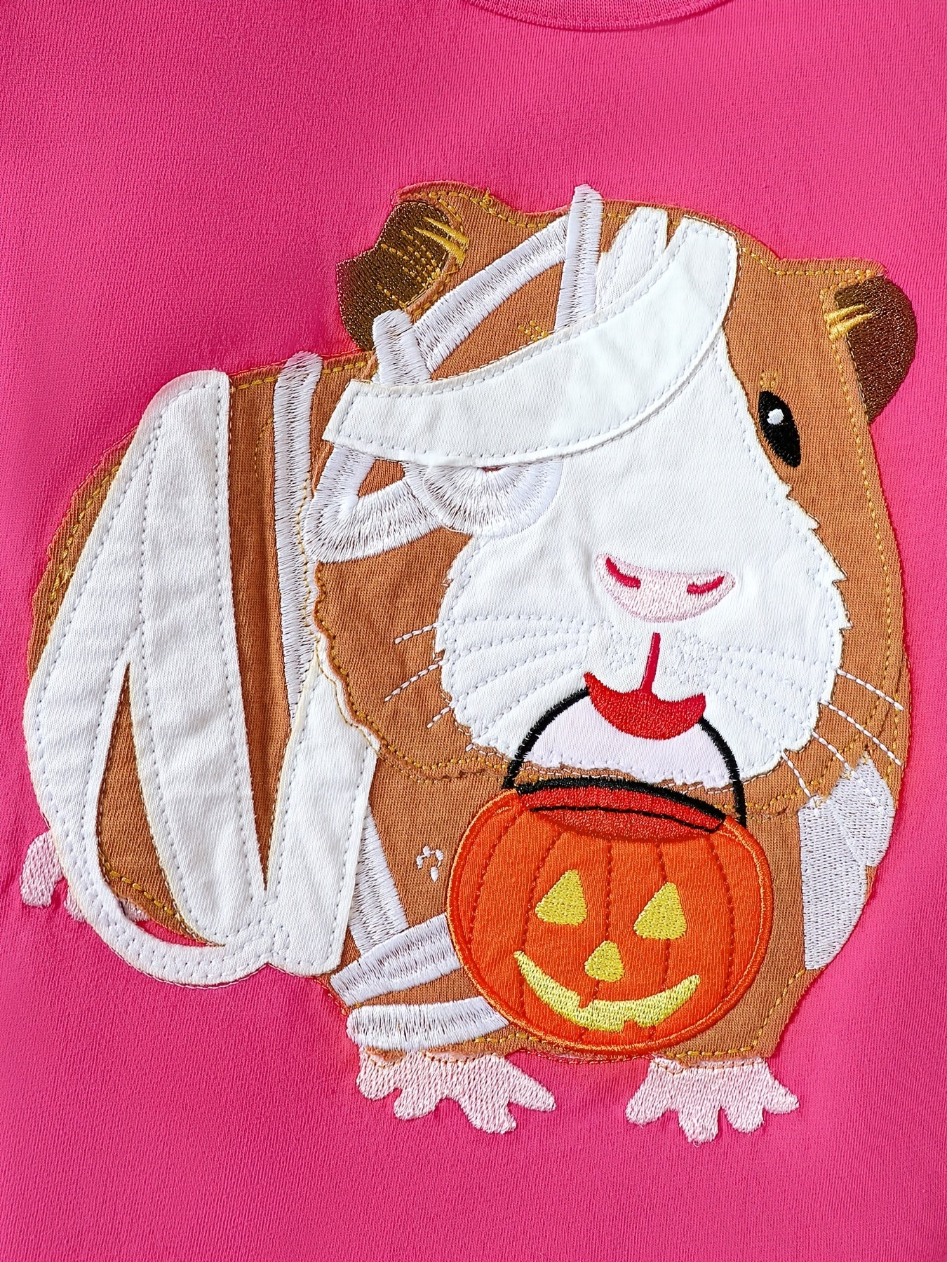 Girls' Guinea Pig Embroidered Pullover Sweatshirt