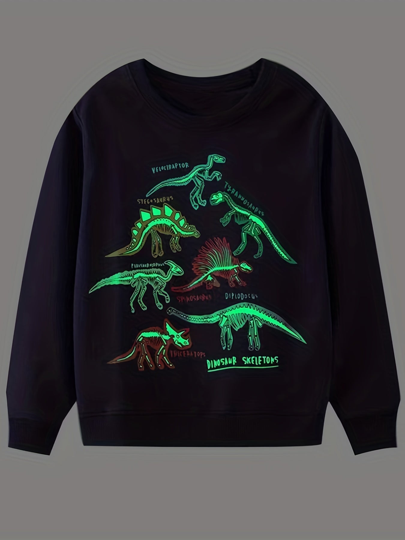 Kid's Dino Pattern Sweatshirt Crew Neck Long Sleeve Top