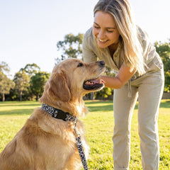 img_7364432
