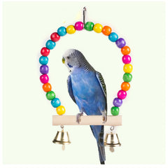 Colorful Bird Cage Swing with Bells & Ladder for Parrot Exercise