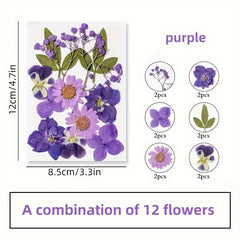 12pcs Resin Fillers Dry Flowers Natural Plant Embossed Dry Flowers Collection