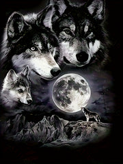 Moon & Wolves 3D Print Hoodie Kids Hip Hop Street Sports Casual Tops