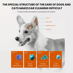 60pcs Box Pet Ear Wipes for Dogs and Cats - Ear Mite Cleaning Wipes