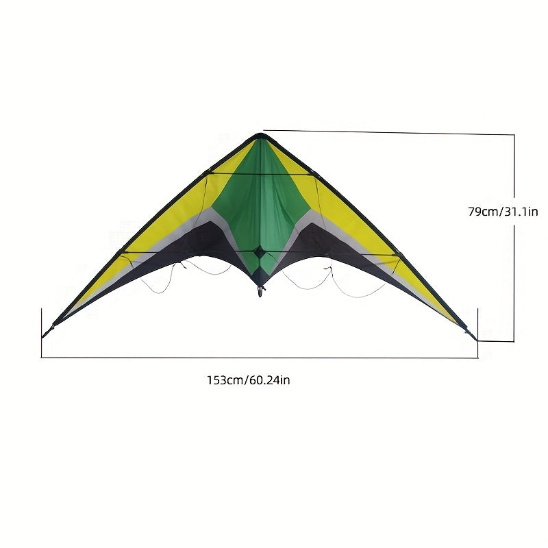 Dual Line Wing Kite for Outdoor Entertainment