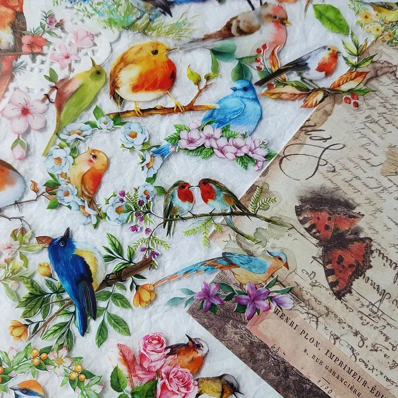 50 Watercolor Bird Doodle Stickers for Water Bottles Cars Computers Bicycles