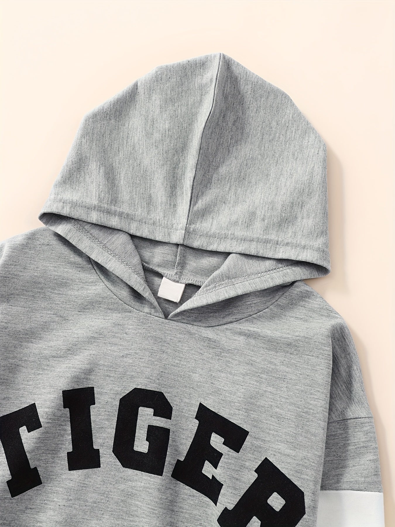 Boy's Tiger Print Hoodie & Sweatpants Set for Spring Fall