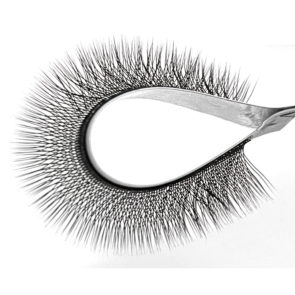 Matte 3D W Individual Lashes for Eyelash Extensions